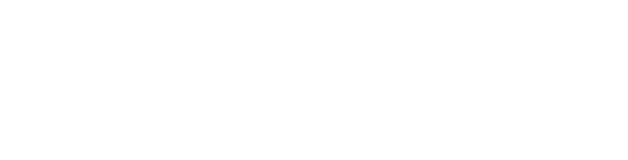 Logo gemeente Arnhem